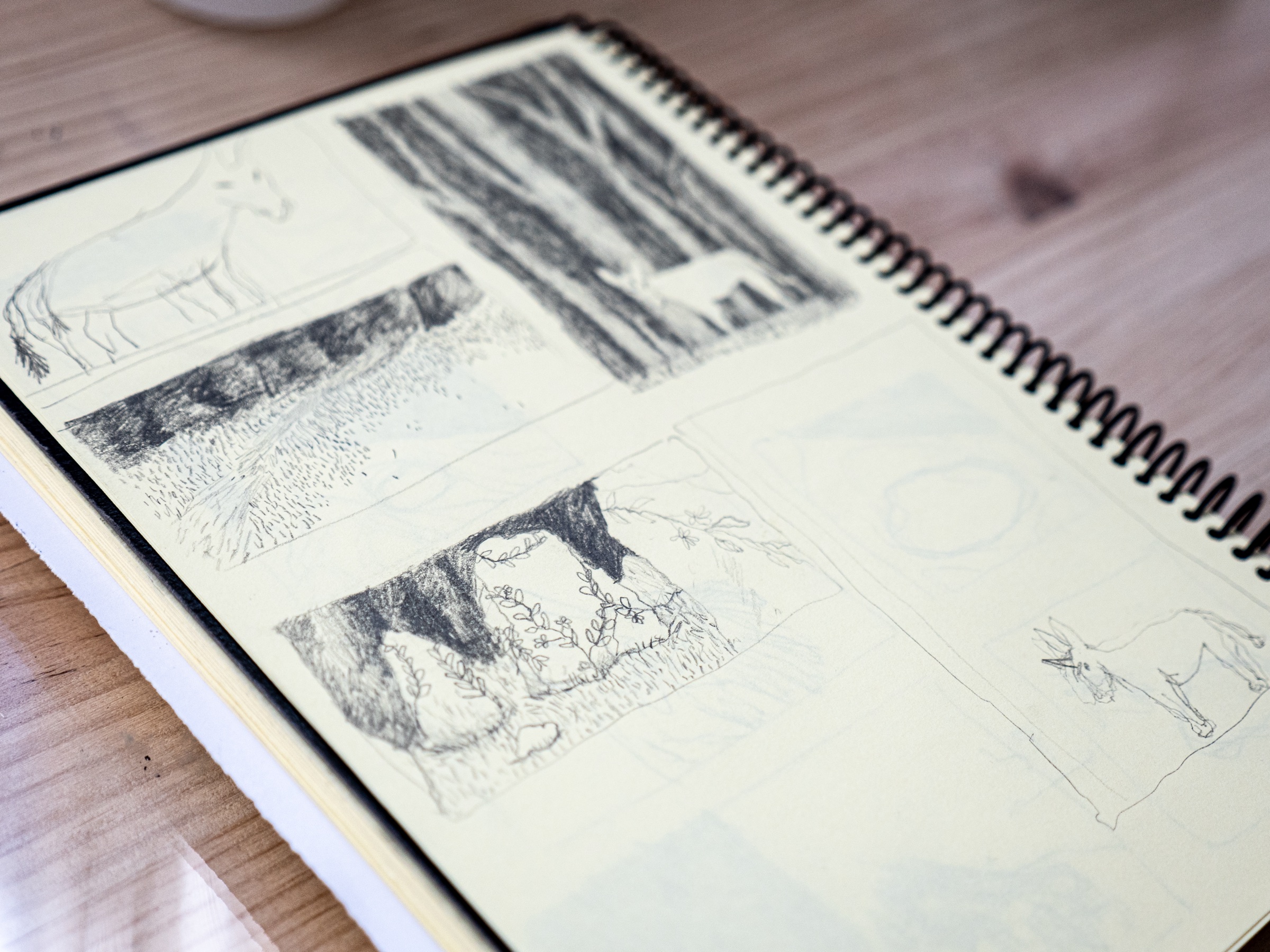 Proceso de dibujo y grabado durante el seminario Exploraciones al aguafuerte